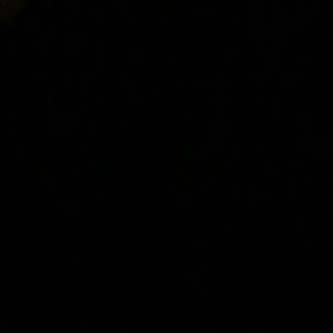 Meet your Posher, Colleen